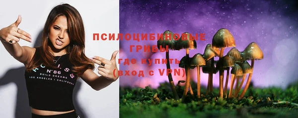 МДПВ Алексин