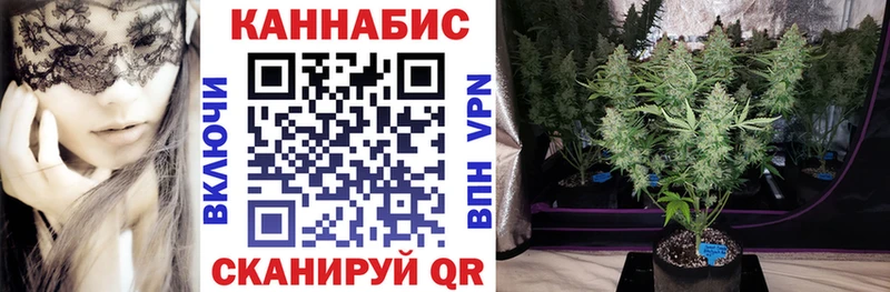 Канабис OG Kush Усть-Катав
